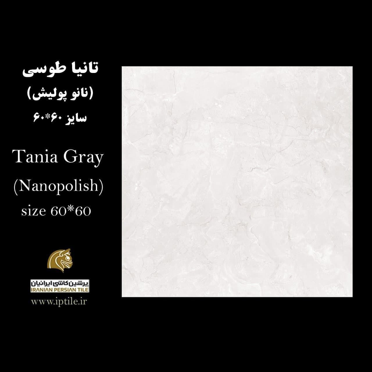 سرامیک پرسلان نانوپولیش تانیا طوسی ۶۰*۶۰ پرشین کاشی ایرانیان   پرشین کاشی ایرانیان