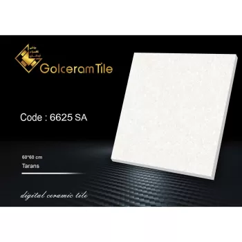 سرامیک کف  ۶۰*۶۰ کد ۶۶۲۵ SA شرکت کاشی گلسرام اردکان  6625 SA