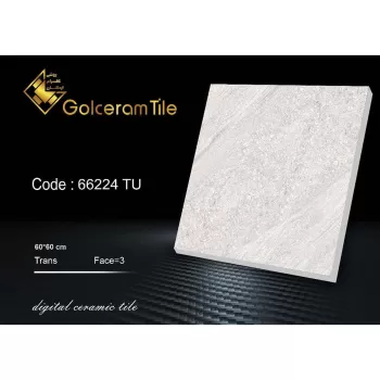 سرامیک کف  ۶۰*۶۰ کد ۶۶۲۲۴ TU شرکت کاشی گلسرام اردکان  66224 TU